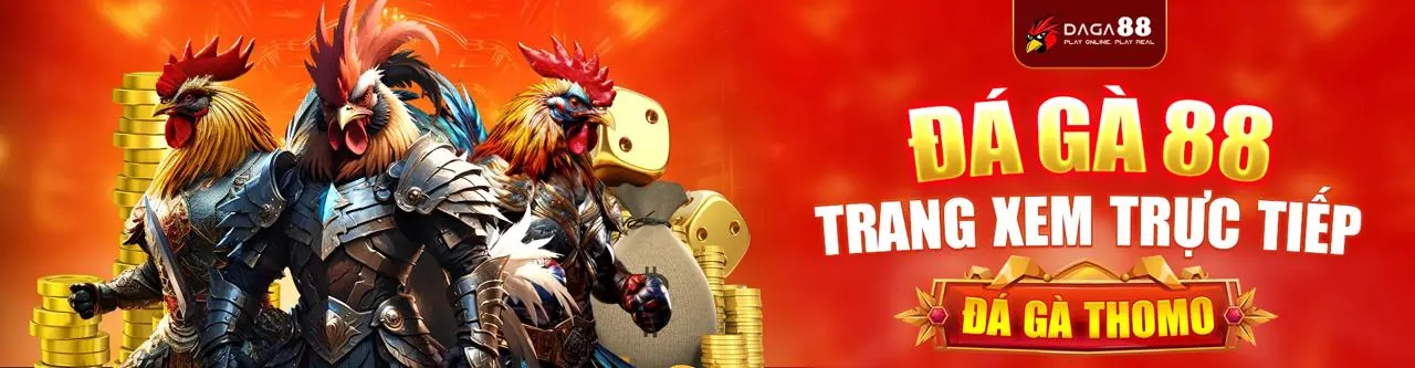 Đấu gà trực tuyến k8 win với các trận đấu sôi động